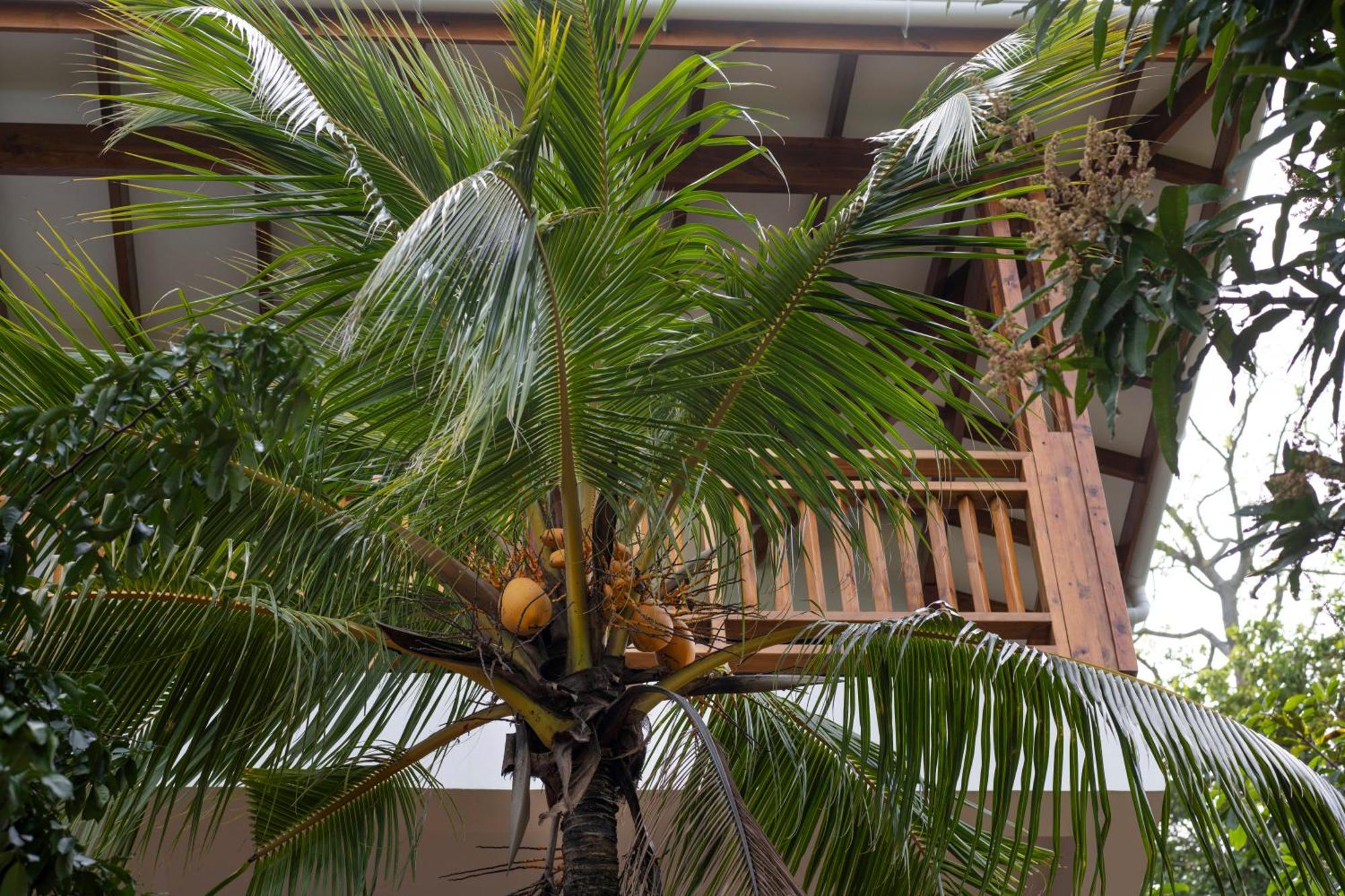 Sunbird Villas Glacis  Bagian luar foto